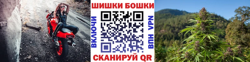 Купить закладку Лыткарино ГАШ Марихуана Alpha PVP Меф